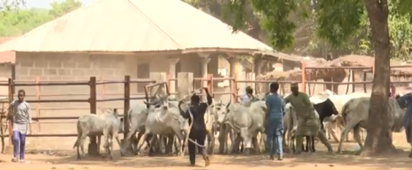 Les marchés à bétails transfrontaliers d’Iwoyé et de Matéri réhabilités