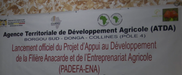 Lancement du Projet d’appui au développement de la filière anacarde et de l’entrepreneuriat agricole